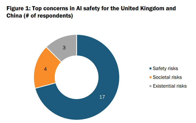 Top Concerns in AI Safety